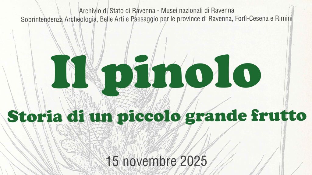 Il pinolo, storia di un piccolo grande frutto