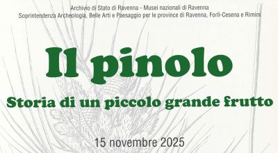 Il pinolo, storia di un piccolo grande frutto